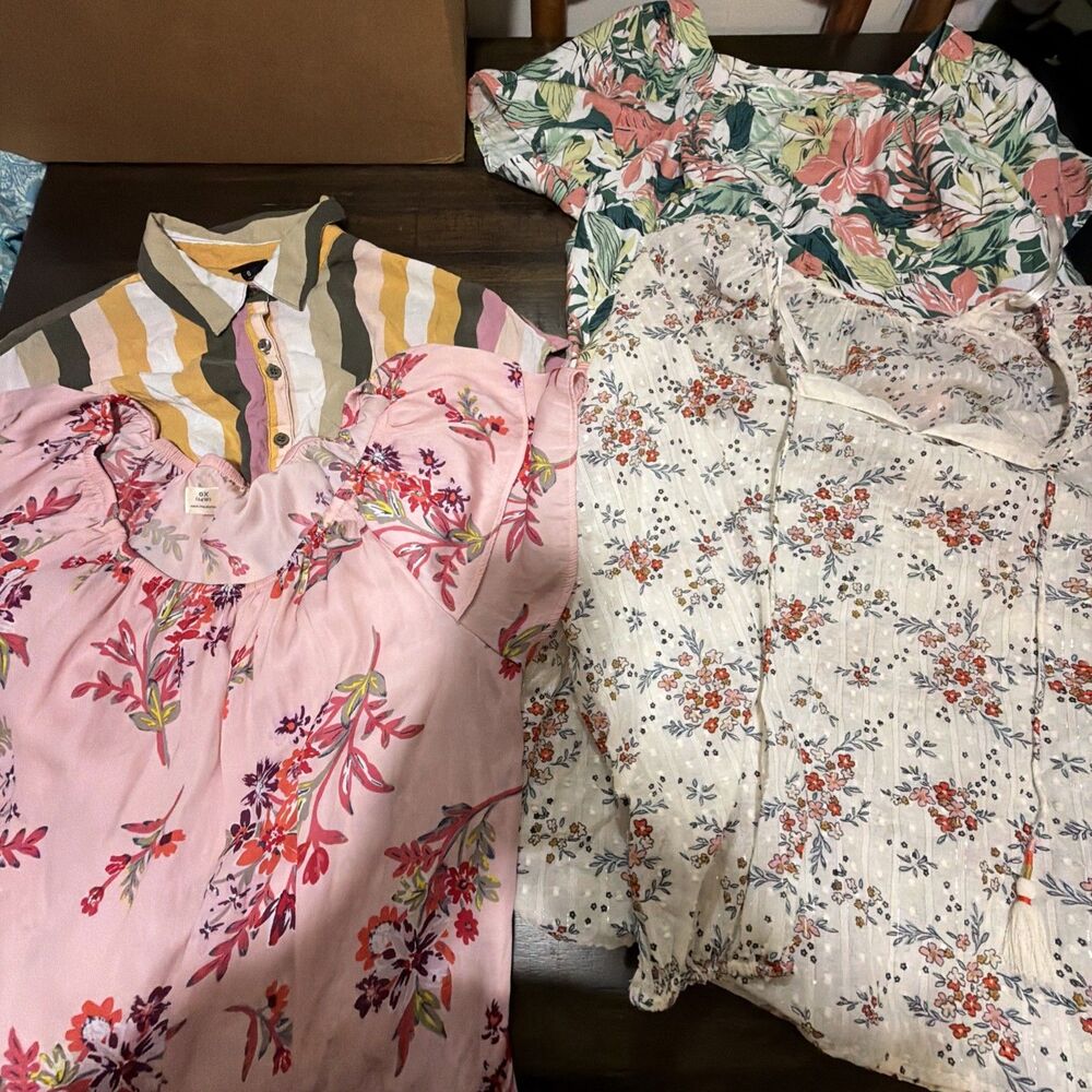 Lot Of 4 Tops Women's Size X CJ Banks, Terra & Sky, And Torrid.